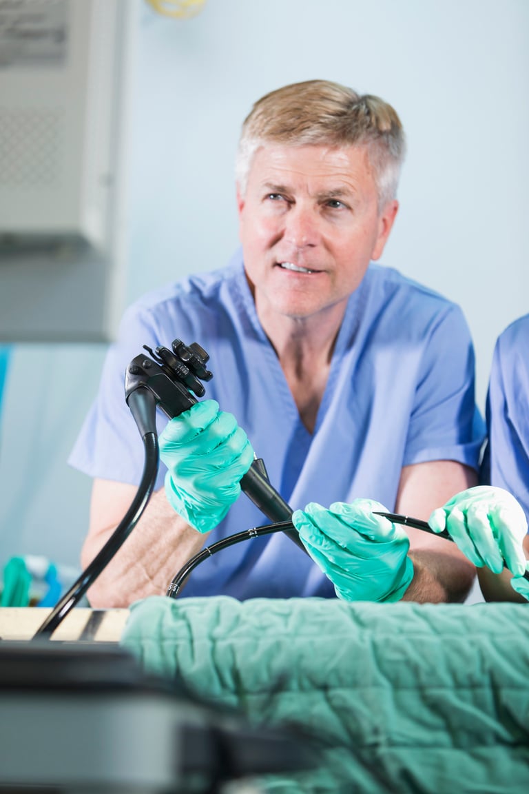 Veterinarian using an endoscope